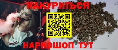 прущие крисы Славгород