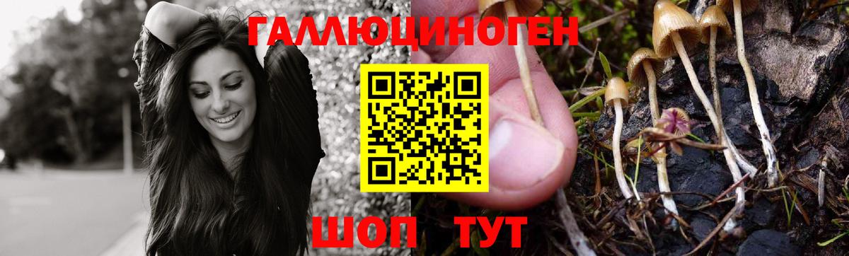 Галлюциногенные грибы мицелий  Вход с VPN  Псилоцибиновые грибы Psilocybine cubensis  Нефтекамск 